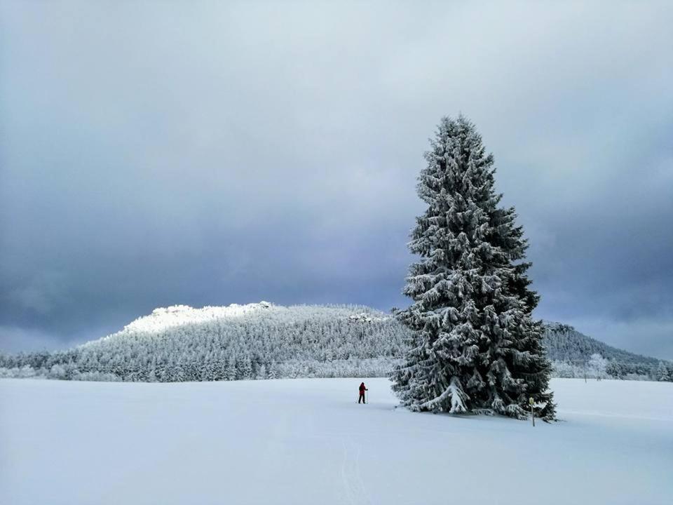Вилла Zielona Roza Вамбежице Экстерьер фото