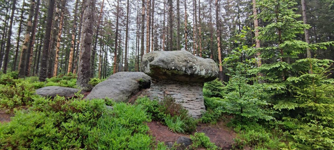 Вилла Zielona Roza Вамбежице Экстерьер фото
