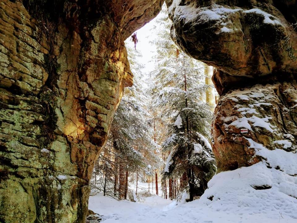 Вилла Zielona Roza Вамбежице Экстерьер фото