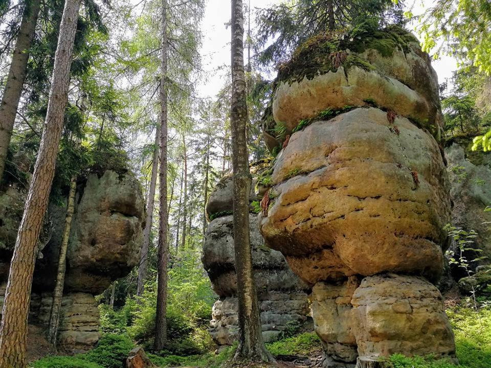 Вилла Zielona Roza Вамбежице Экстерьер фото